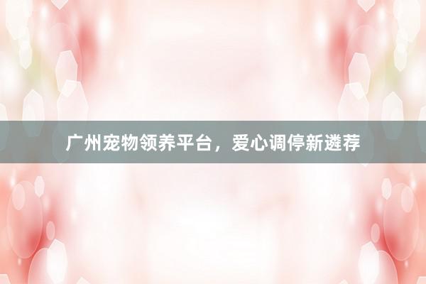 广州宠物领养平台，爱心调停新遴荐