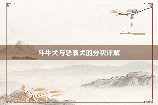 斗牛犬与恶霸犬的分袂详解