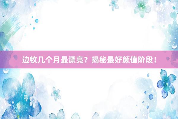边牧几个月最漂亮?揭秘最好颜值阶段!