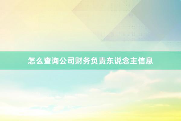 怎么查询公司财务负责东说念主信息
